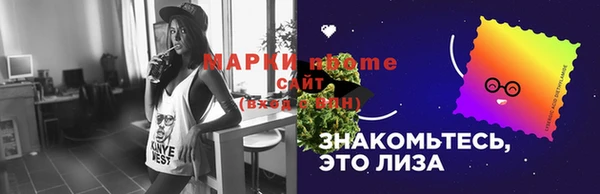 хмурый Арсеньев