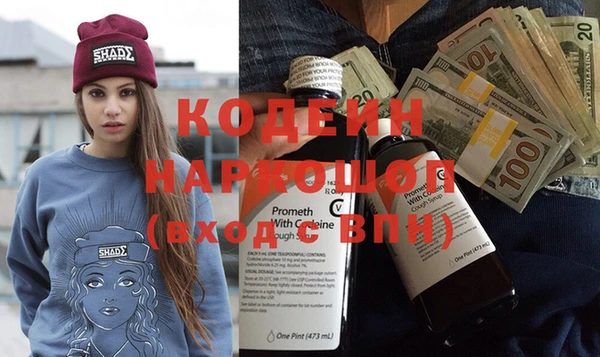 хмурый Арсеньев