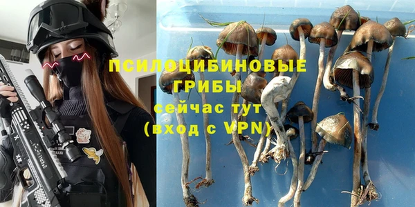 стафф Армянск