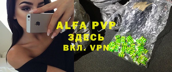 хмурый Арсеньев