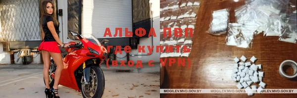 хмурый Арсеньев
