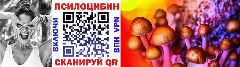 маркетплейс состав Дно Псилоцибиновые грибы MAGIC MUSHROOMS наркота